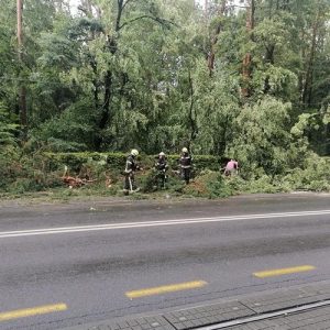 Izvanredna dislokacija vatrogasnih snaga OBŽ